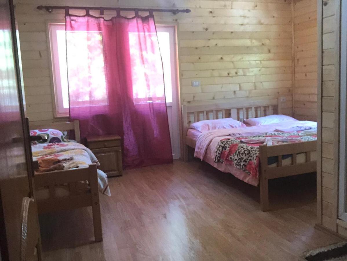 Adenisi Guesthouse Tropoja Kültér fotó